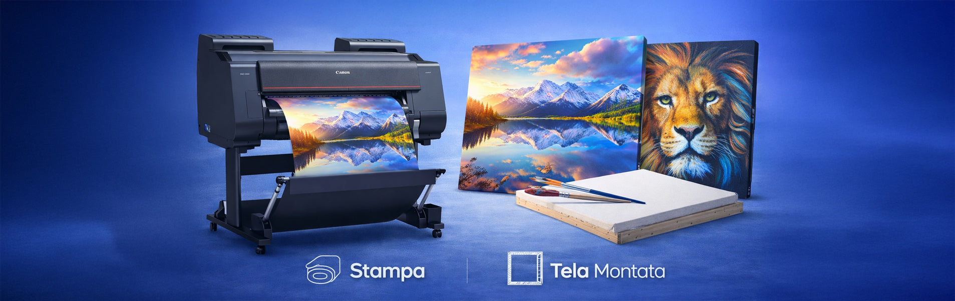 Stampe su Tela Montate su Telaio